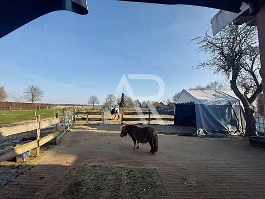 Einfamilienhaus zum Kauf 5 Zimmer 127 m² 1.935 m² Grundstück Effeld Wassenberg / Steinkirchen 41849