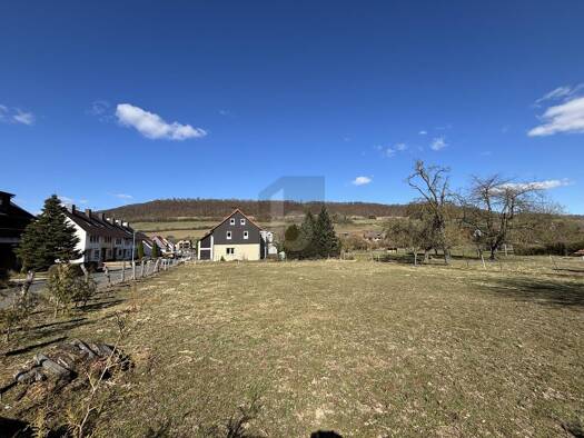 Grundstück zum Kauf 46.000 € 2.420 m² Grundstück Hilwartshausen Dassel 37586