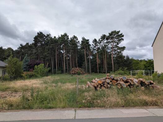 Grundstück zum Kauf 5.506 m² Grundstück Kemberg 06901