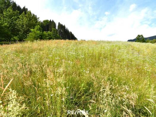 Grundstück zum Kauf 70.000 € 800 m² Grundstück Feldkirchen in Kärnten 9560