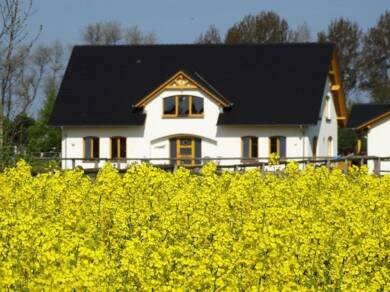 Villa zum Kauf provisionsfrei 5 Zimmer 350 m² 19.061 m² Grundstück Grabower Straße 13 P, 18445 Nisdorf Günz Altenpleen 18445