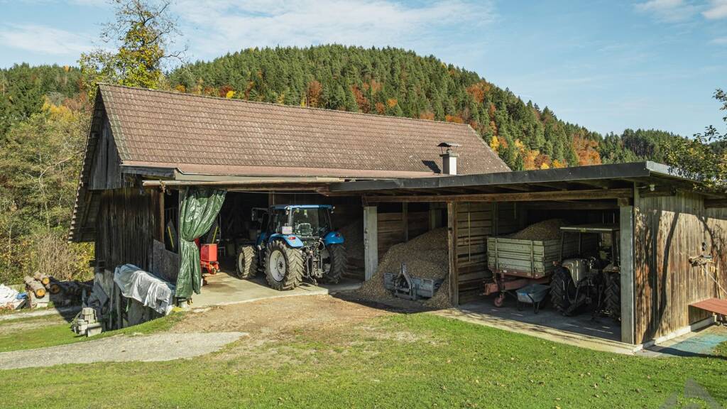Bauernhof zum Kauf 2.590.000 € 228.262 m² Grundstück Velden 9220