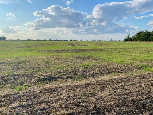 Land-/Forstwirtschaft zum Kauf 170.000 € 43.684 m² Grundstück Bernburg Bernburg 06406