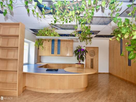 Büro zur Miete 9,98 € 50 m² Bürofläche Ybbs an der Donau 3374