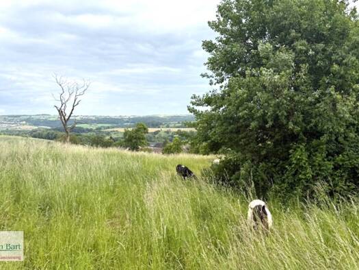 Grundstück zum Kauf 239.800 € 1.038 m² Grundstück Kirf 54441