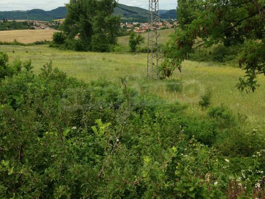 Land-/Forstwirtschaft zum Kauf 30.485 € Veliko Tarnovo