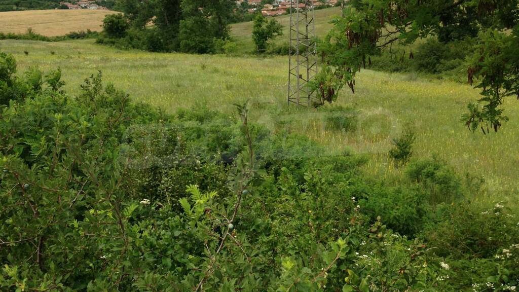 Land-/Forstwirtschaft zum Kauf 30.485 € Veliko Tarnovo