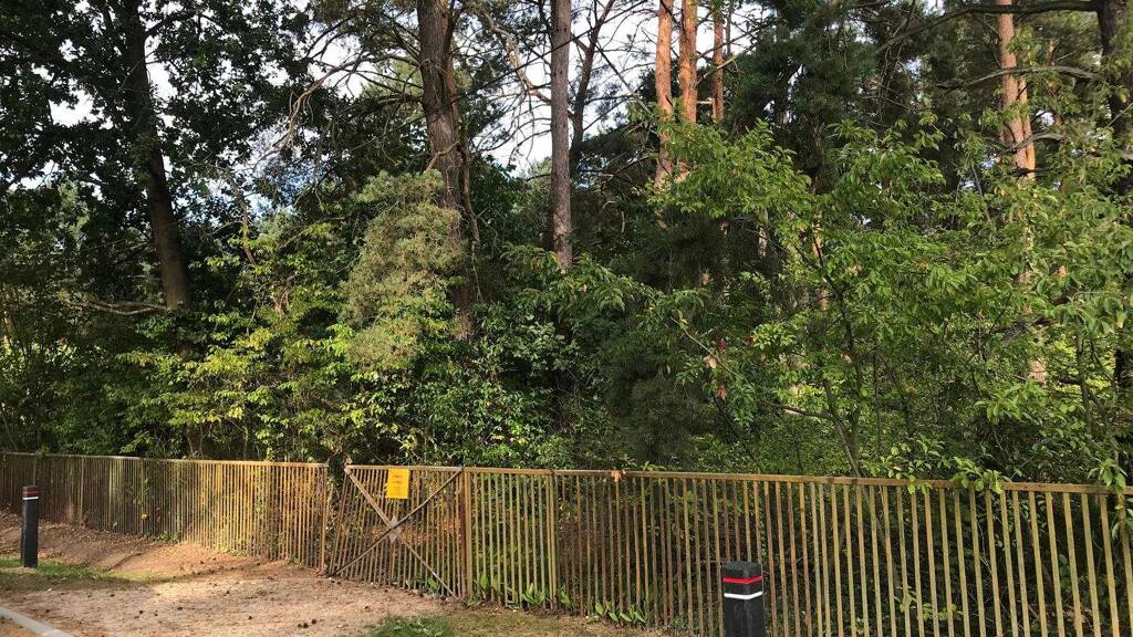 Grundstück zum Kauf 390.000 € 1.405 m² Grundstück frei ab sofort Am Waldrand 14 Zeesen Königs Wusterhausen 15711