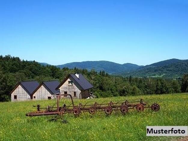 Bauernhaus zum Kauf 505.000 € 7 Zimmer 165,1 m² 16.370 m² Grundstück Kardorf Bornheim 53332