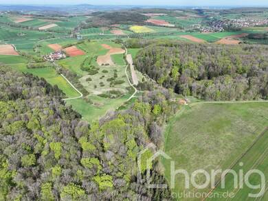 Land-/Forstwirtschaft zum Kauf 19.900 € 7.895 m² Grundstück Heidenheim Heidenheim 91719