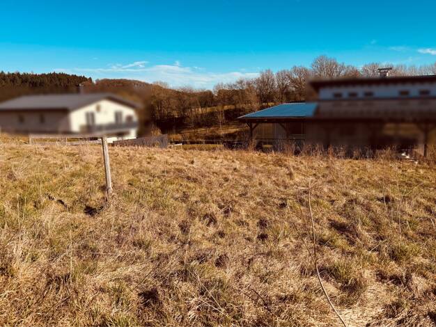 Grundstück zum Kauf 40.000 € 849 m² Grundstück Utzerath 54552