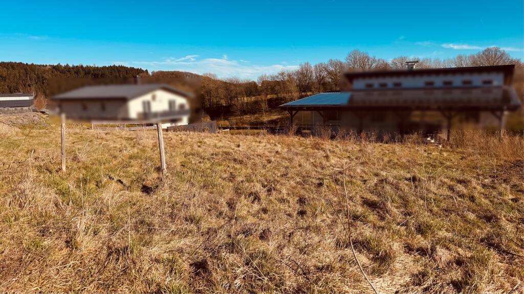 Grundstück zum Kauf 40.000 € 849 m² Grundstück Utzerath 54552