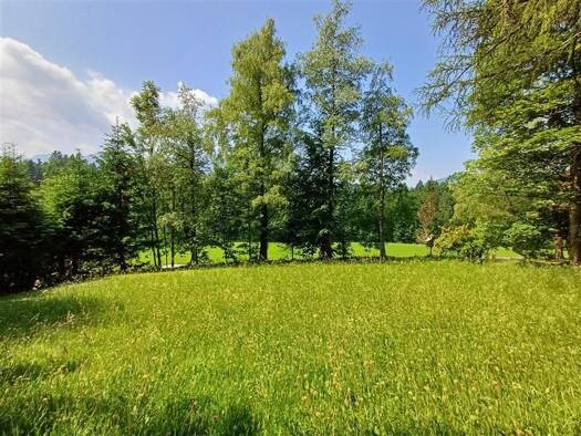 Grundstück zur Miete 6.500 € 700 m² Grundstück Lidaunstraße Faistenau 5324