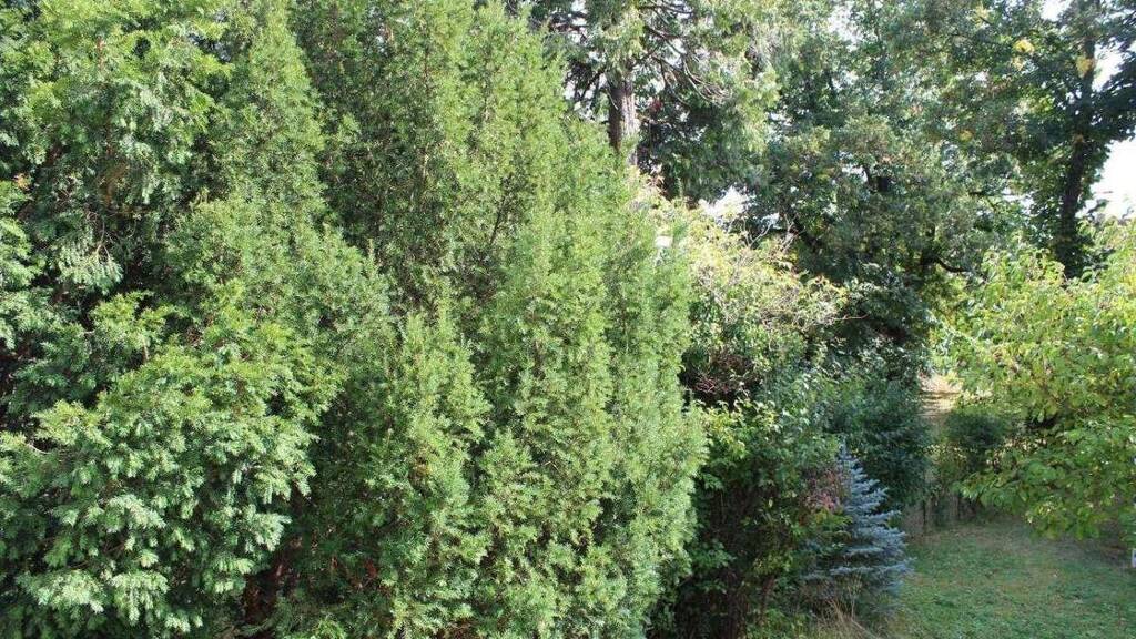 Wohnung zum Kauf provisionsfrei 599.000 € 4,5 Zimmer 110 m² Wien 1230