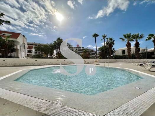Wohnung zur Miete 1.350 € 1 Zimmer 50 m² EG Avenida Kurt Konrad Mayer Adeje 38660