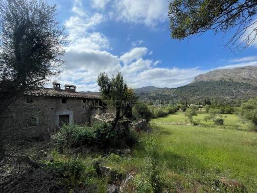 Acker-/Waldstück zum Kauf 790.000 € Pollença 07460