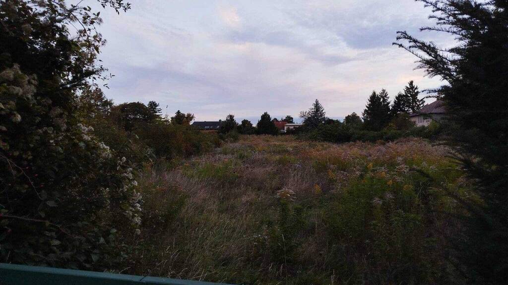 Land-/Forstwirtschaft zum Kauf 265.000 € 2.661 m² Grundstück Baden 2500