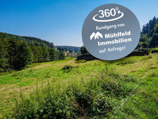 Grundstück zum Kauf provisionsfrei 75.000 € 3.981 m² Grundstück Hiltersklingen Mossautal / Hiltersklingen 64756