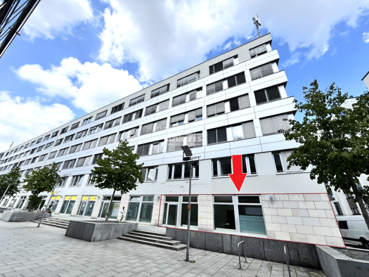 Ladenfläche zur Miete provisionsfrei 15 € 236 m² Verkaufsfläche Seevorstadt-Ost/Großer Garten Dresden 01069