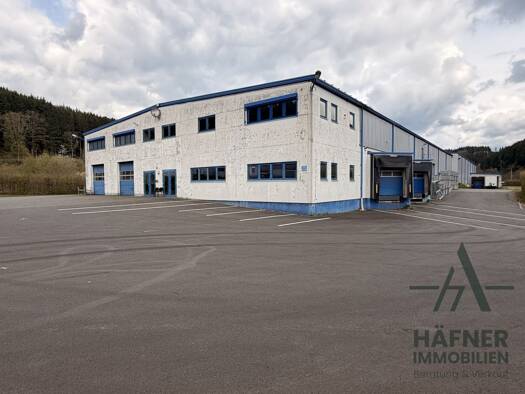 Lagerhalle zur Miete 6.300 € 13.762 m² Lagerfläche teilbar ab 1.800 m² Densborn Densborn 54570