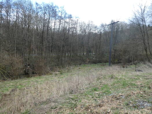 Grundstück zum Kauf 150.000 € 1.240 m² Grundstück Espa Langgöns 35428