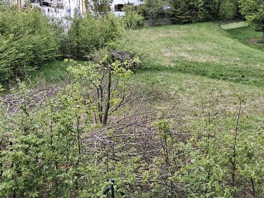 Grundstück zum Kauf 90.000 € 1.292 m² Grundstück Bayerisch Eisenstein Bayerisch Eisenstein 94252