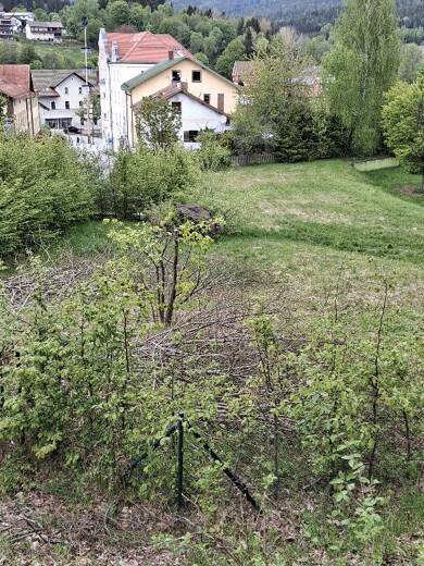 Grundstück zum Kauf 90.000 € 1.292 m² Grundstück Bayerisch Eisenstein Bayerisch Eisenstein 94252