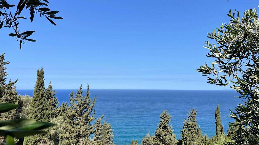 Land-/Forstwirtschaft zum Kauf 305.000 € 4.000 m² Grundstück Korfu