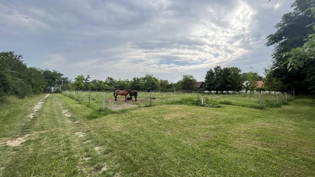 Grundstück zum Kauf 100.000 € 2.877 m² Grundstück Várbalog 9243