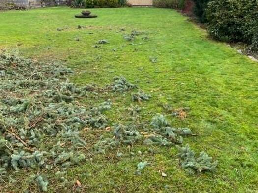 Grundstück zum Kauf provisionsfrei 180.000 € 400 m² Grundstück Bad Schwartau 23611