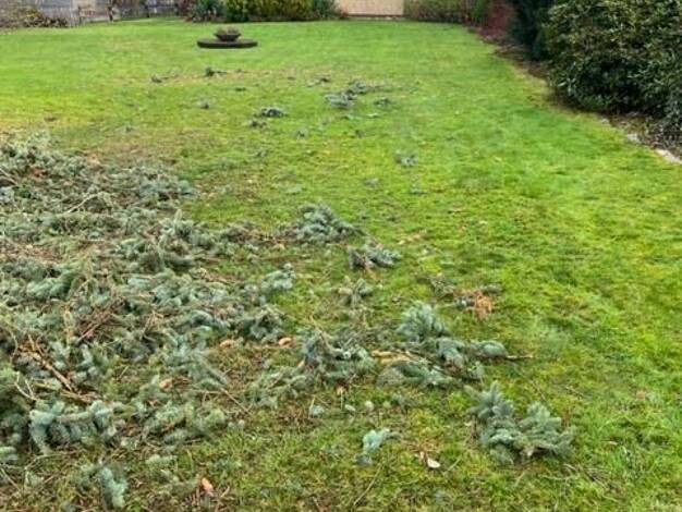 Grundstück zum Kauf provisionsfrei 180.000 € 400 m² Grundstück Bad Schwartau 23611