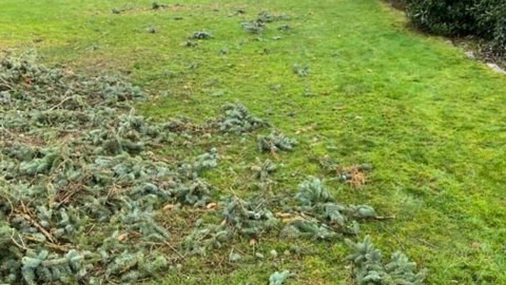 Grundstück zum Kauf provisionsfrei 169.000 € 400 m² Grundstück Bad Schwartau 23611