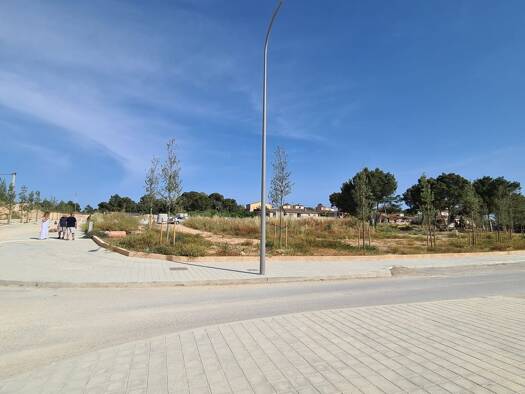 Grundstück zum Kauf 232.738 € 403,2 m² Grundstück Palma de Mallorca