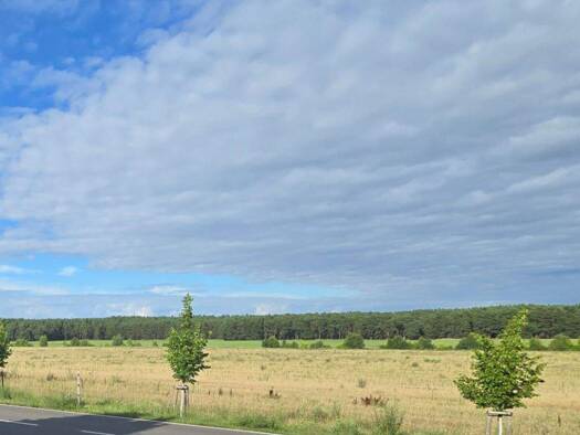 Landwirtschaftliche Fläche zum Kauf 11.861 € 7.787 m² Grundstück Markgrafpieske Spreenhagen 15528