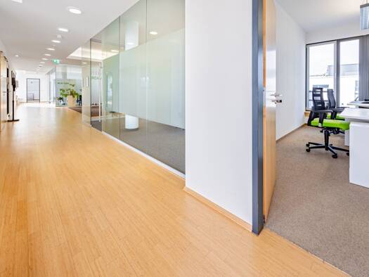 Bürogebäude zur Miete provisionsfrei 13,50 € 1.401 m² Bürofläche teilbar ab 292 m² Darmstadt 64293