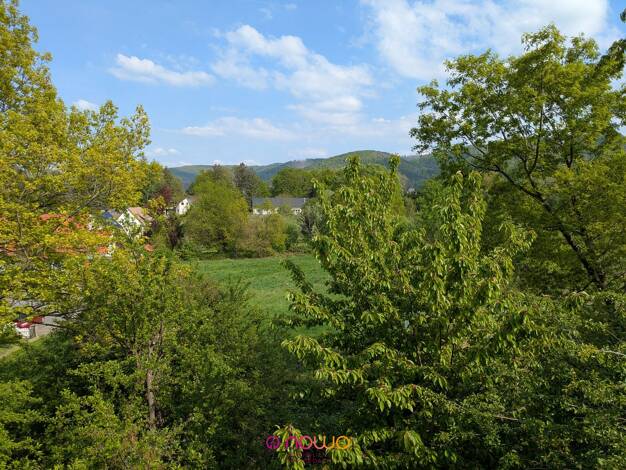 Wohnung zum Kauf 64.550 € 2 Zimmer 52,6 m² 2. Geschoss Bündheim Bad Harzburg 38667