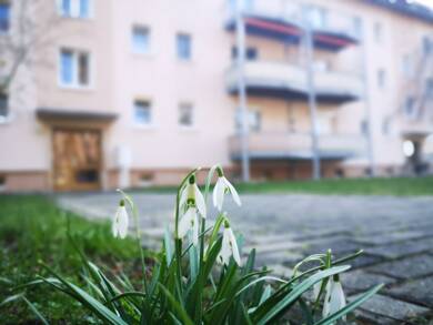 Wohnung zur Miete 150 € 1 Zimmer 31,2 m² Bahnhofsweg 2B Knappenrode Hoyerswerda 02977