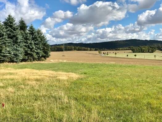 Grundstück zum Kauf 250.000 € 2.500 m² Grundstück Steina 01920