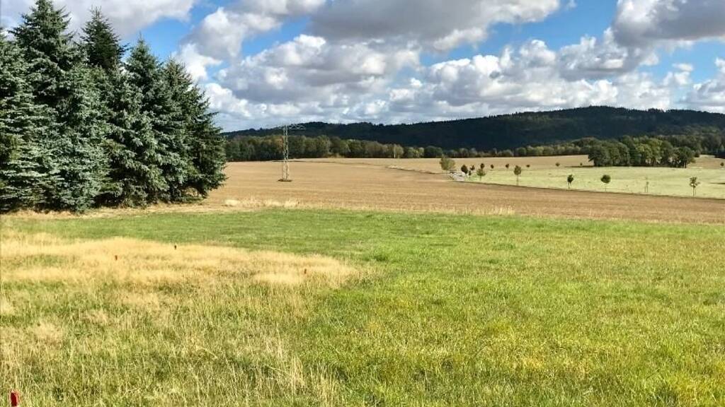 Grundstück zum Kauf 250.000 € 2.500 m² Grundstück Steina 01920