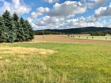 Grundstück zum Kauf 250.000 € 2.500 m² Grundstück Steina 01920