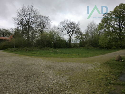 Grundstück zum Kauf 69.000 € 1.101 m² Grundstück Börm 24863