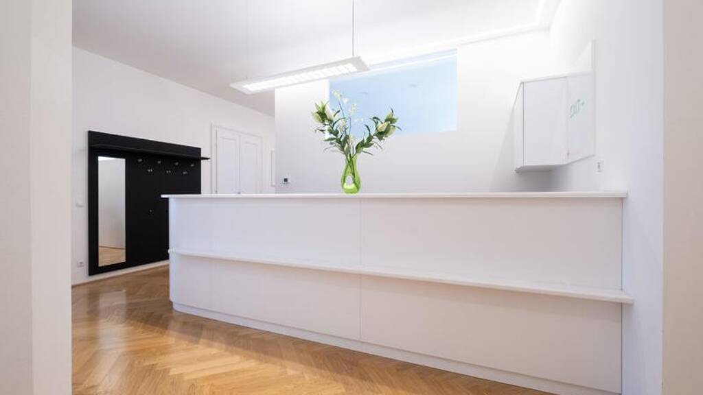 Praxis zur Miete 1 Zimmer Wien 1080