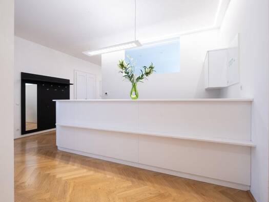 Praxis zur Miete 1 Zimmer Josefstadt 1080