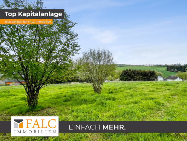 Freizeitgrundstück zum Kauf 119.000 € 3.700 m² Grundstück Mühleip Eitorf / Mühleip 53783