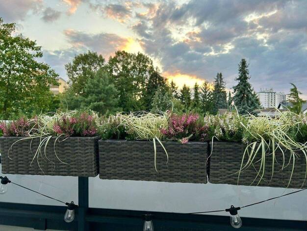 Penthouse zur Miete 1.620 € 4 Zimmer 106 m² 4. Geschoss frei ab 01.05.2026 Kennedystraße 96 Dörnigheim Maintal 63477