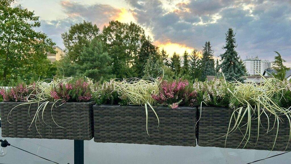 Penthouse zur Miete 1.620 € 4 Zimmer 106 m² 4. Geschoss frei ab 01.05.2026 Kennedystraße 96 Dörnigheim Maintal 63477