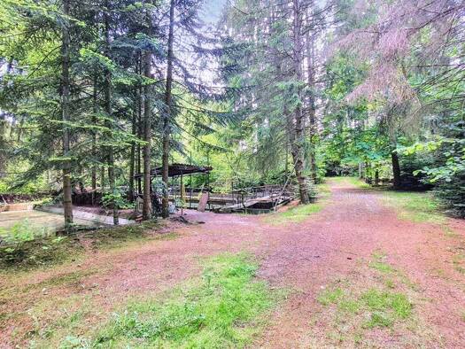 Grundstück zum Kauf 89.000 € 2.959 m² Grundstück Issendorf Harsefeld / Issendorf 21698