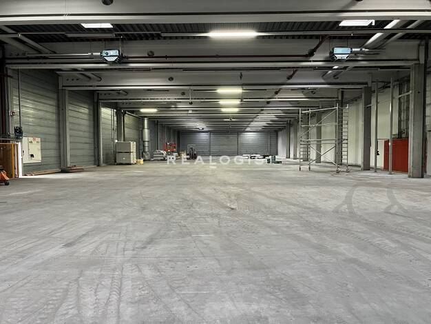 Halle/Industriefläche zur Miete 3.500 m² Lagerfläche Peterzell St. Georgen 78112