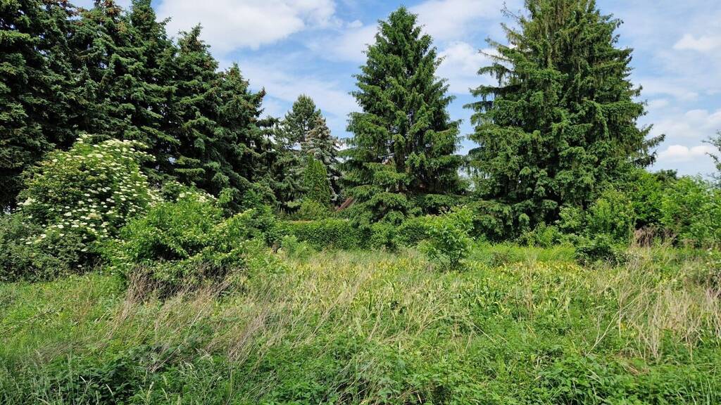 Grundstück zum Kauf 130.000 € 504 m² Grundstück Grafenwörth 3484