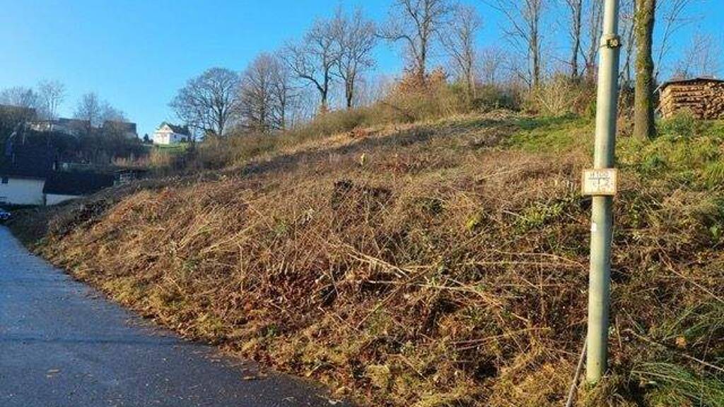 Sonstiges zum Kauf als Kapitalanlage geeignet 78.880 € 2.008 m² 2.008 m² Grundstück Roth Roth-Oettershagen 57539